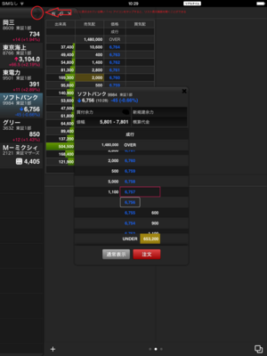 okasan_nettrader_iPad_0097_0462.PNG